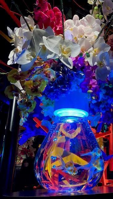  金魚飛舞的幻想回廊
ART AQUARIUM美術館GINZA