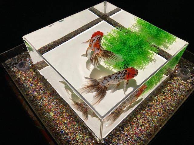  金魚飛舞的幻想回廊
ART AQUARIUM美術館GINZA