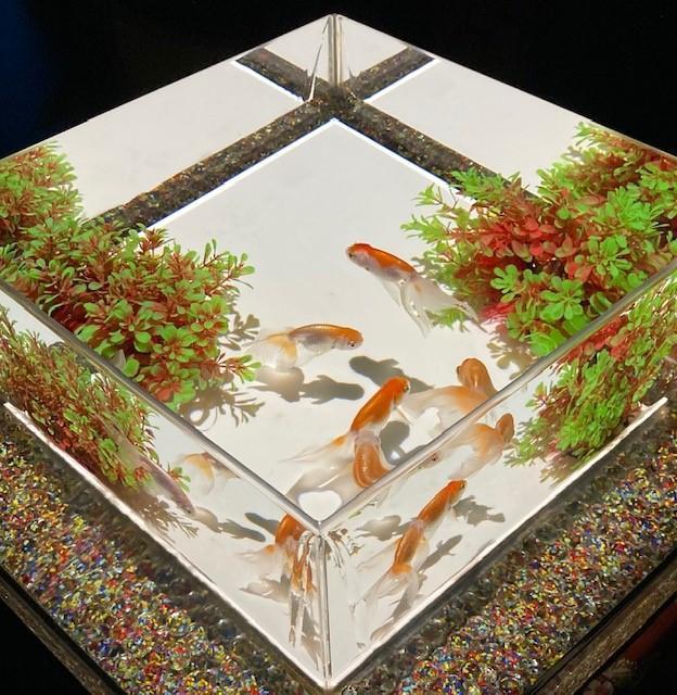  金魚飛舞的幻想回廊
ART AQUARIUM美術館GINZA