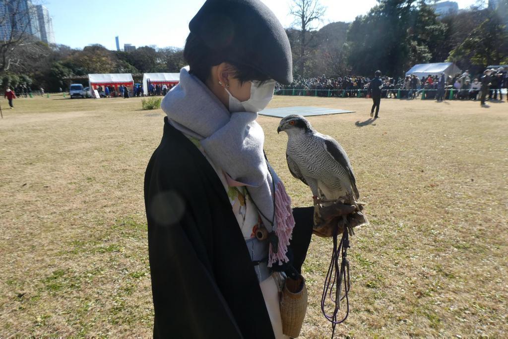 從江戶時代開始的傳統。將軍家獵鷹的淵源之地。 濱離宮,新年獵鷹表演