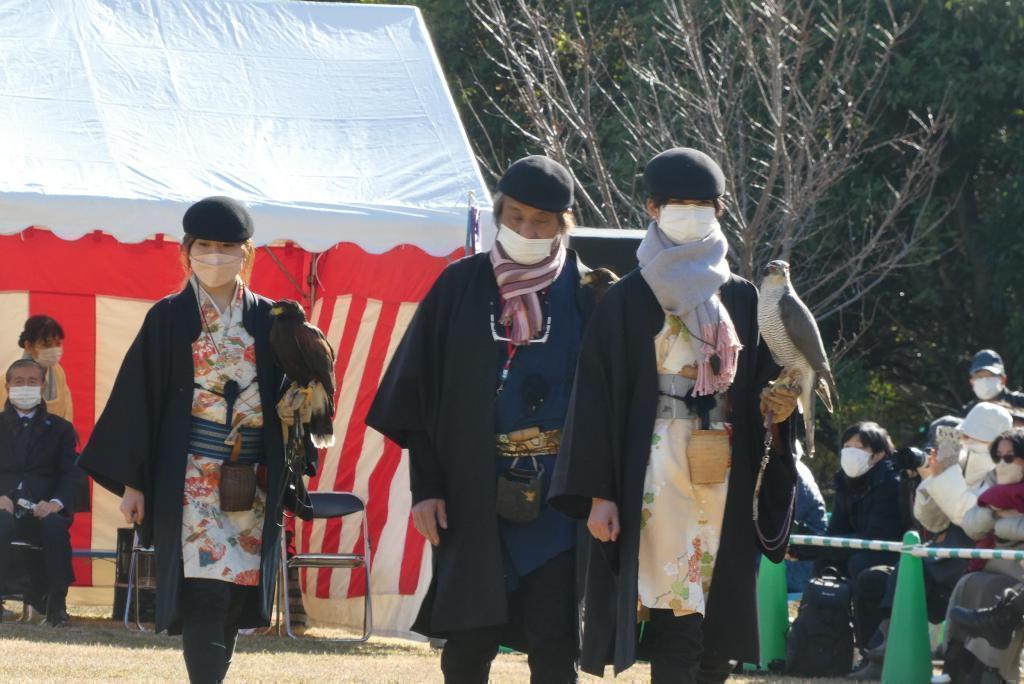 增添~讓老鷹適應環境的浜離宮,正月的獵鷹表演