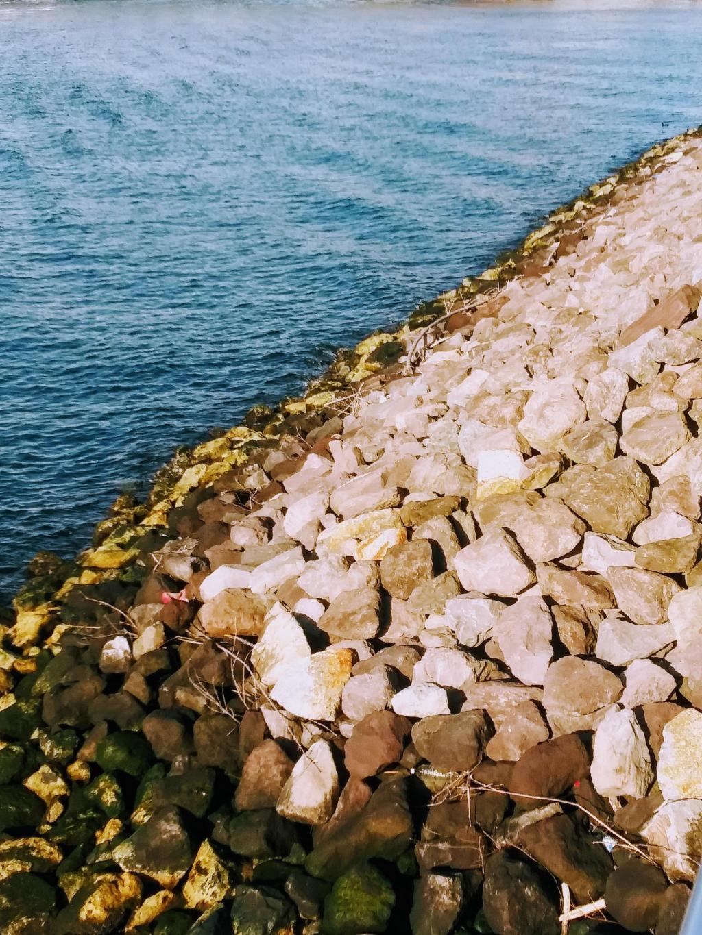  月島海水浴場一考量