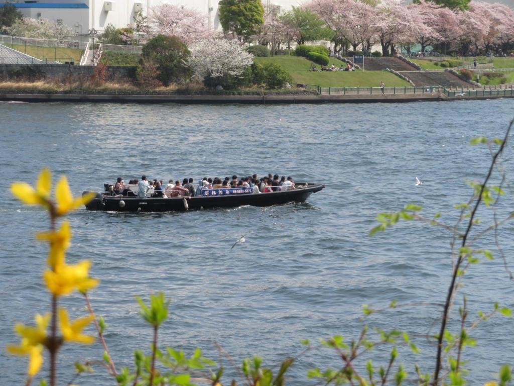  欣賞隅田川沿岸的賞櫻勝地