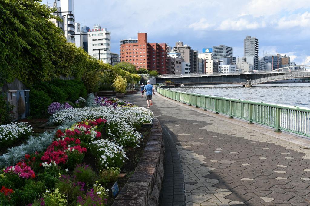  兩國橋與兩國廣小路、柳橋