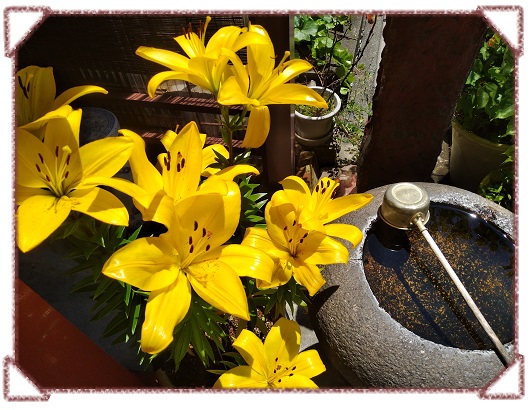  大家一起日記湊的地藏菩薩定期大祭祀