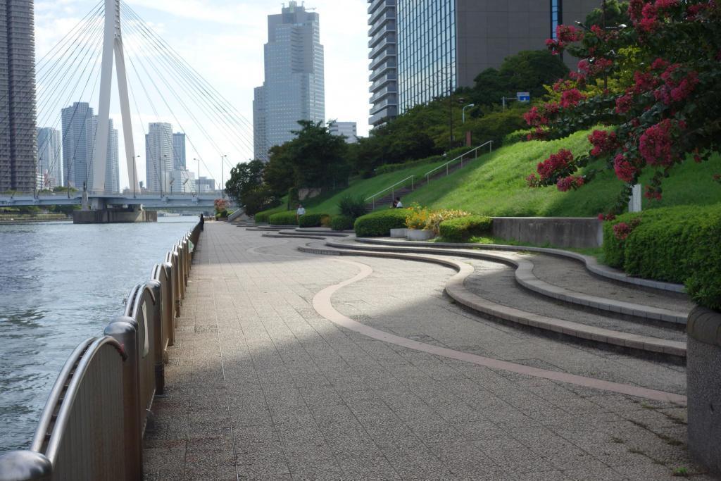 　從新川公園隅田川陽臺隅田川陽臺景觀<新川公園>