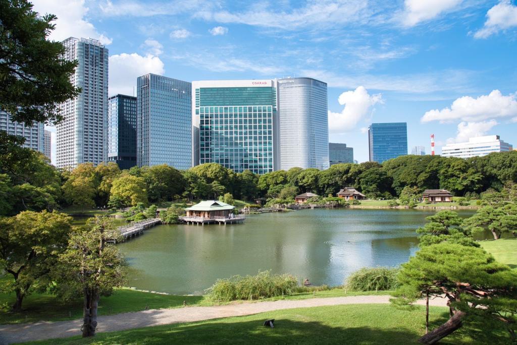 俯視汐入池的風景～濱離宮恩賜庭園～菊花大波斯菊正是觀賞的好時節