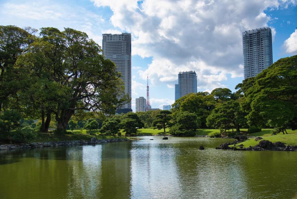 庭園對面可見的東京塔～濱離宮恩賜庭園～kibana Cosmos正是觀賞的好時節