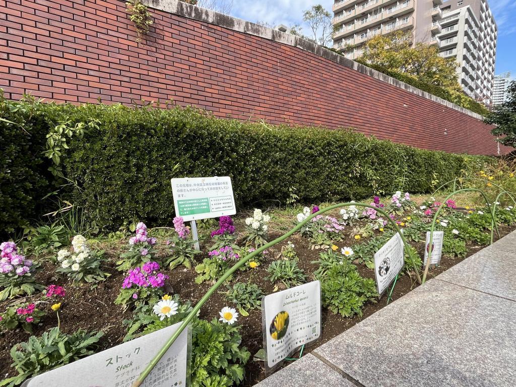  去隅田川陽臺散步怎麼樣