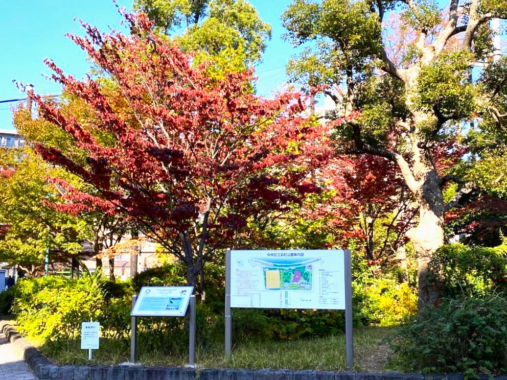  濱町公園的紅葉