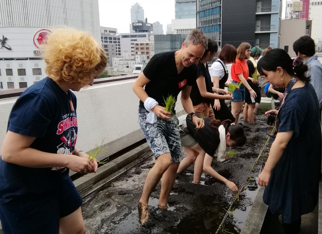  白鶴銀座天空農場,2019年的今年也是插秧～白鶴酒造～