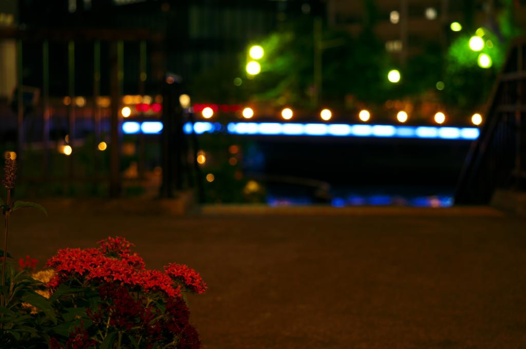 高橋高橋、南高橋水邊的夜景