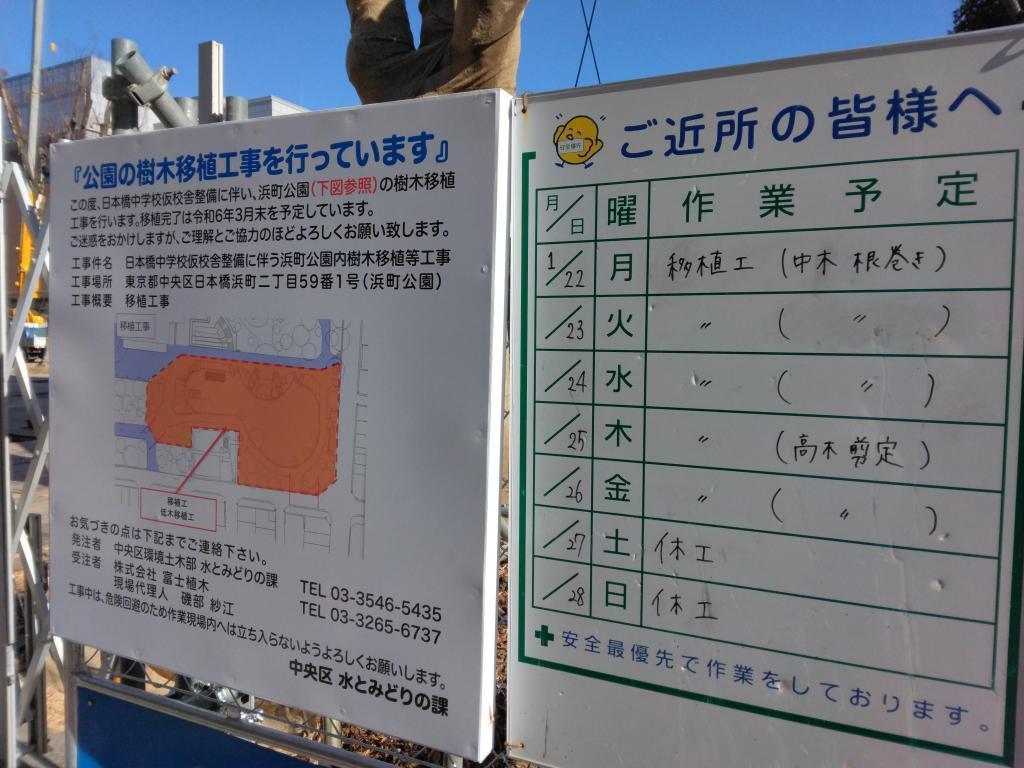 首先是樹木的移植工程! 日本橋中學臨時校舍、建設準備之二