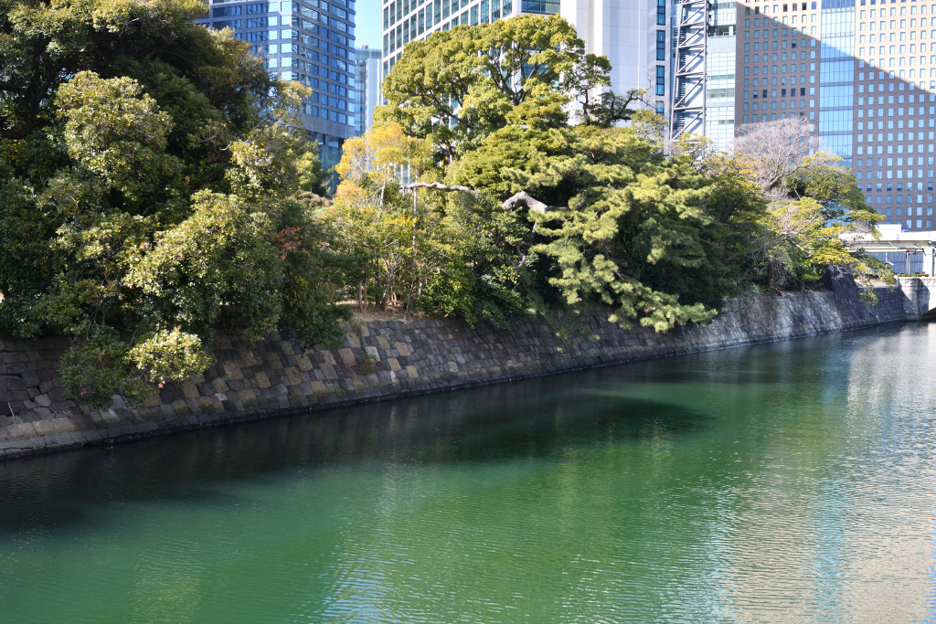  從築地川沿岸的臨時道路眺望的浜離宮恩賜庭園