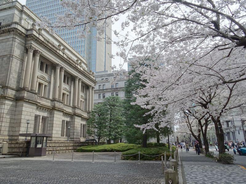 在日本銀行也發現了大象中央區與大象有著深厚緣分的大象