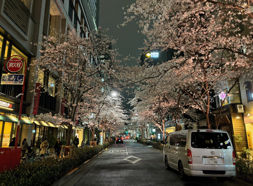 這裡的室町地區也很有意思,推薦良日本橋江戶櫻大道、夜櫻