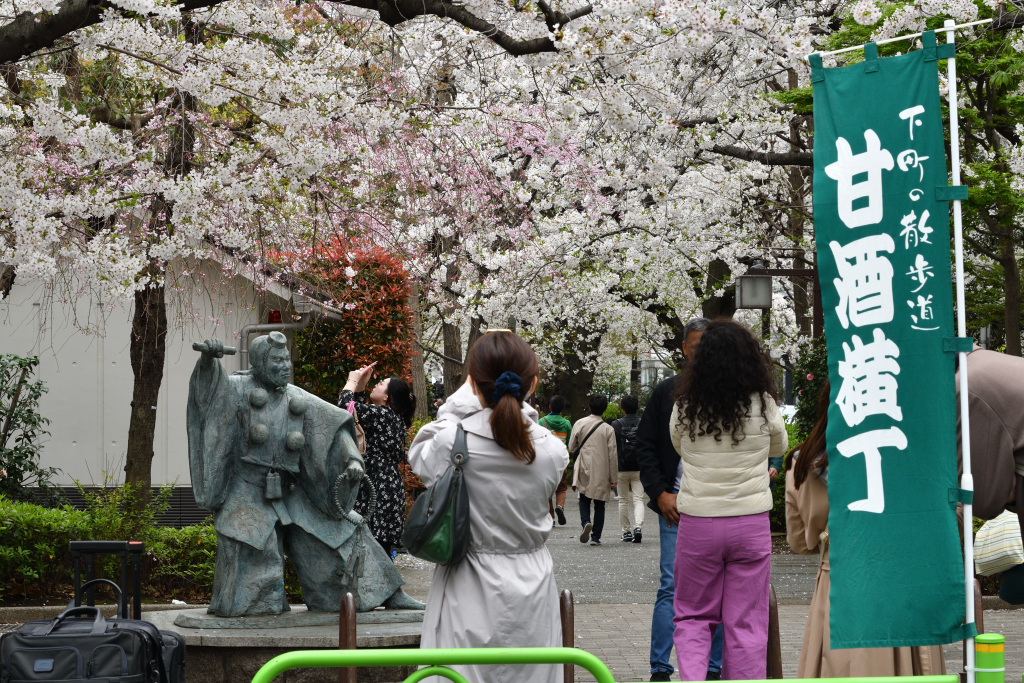  Cherry blossoms herald the arrival of spring in Chuo Ward