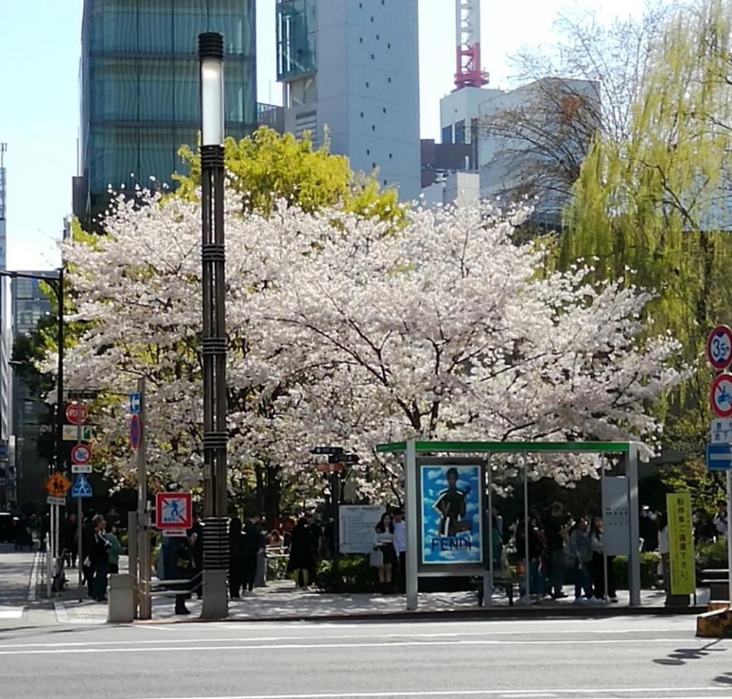  花之銀座數寄屋橋公園
　　～ Relaxation on holidays ～