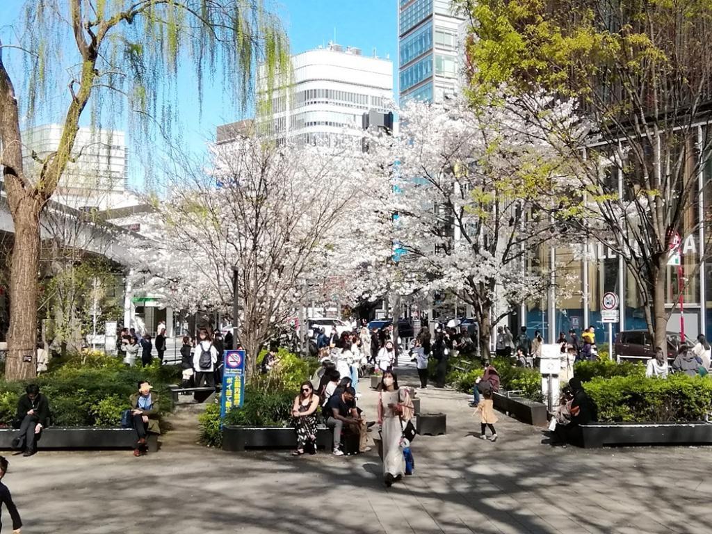  花之銀座數寄屋橋公園
　　～ Relaxation on holidays ～