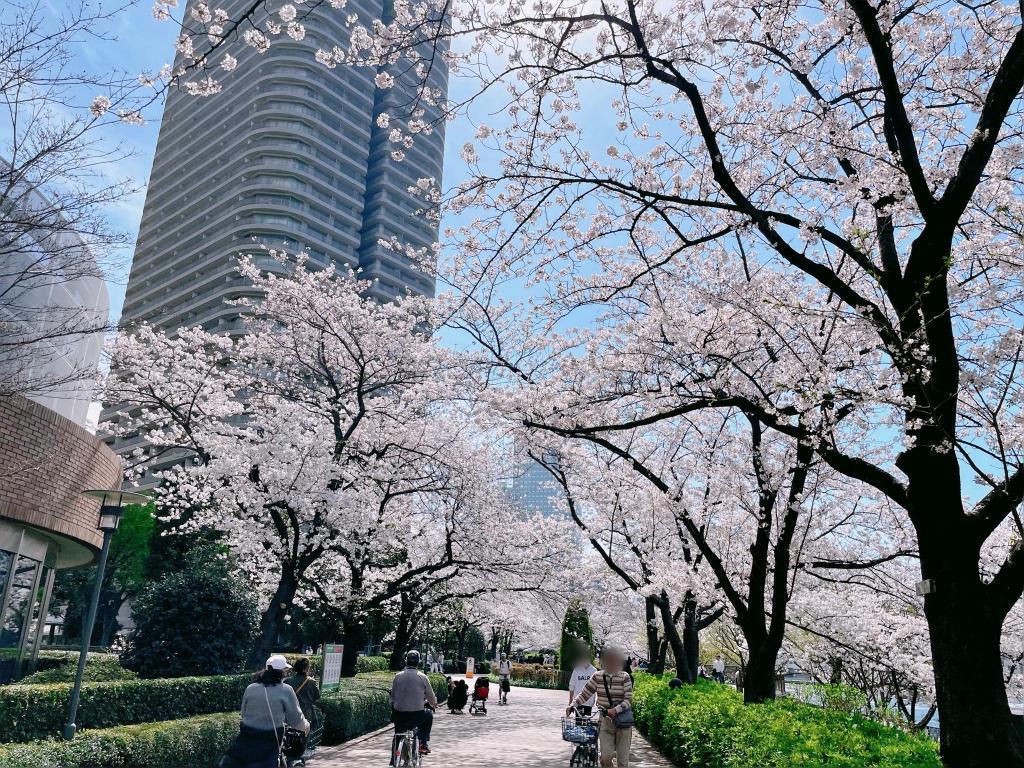  隅田川陽臺的“推薦”賞花景點