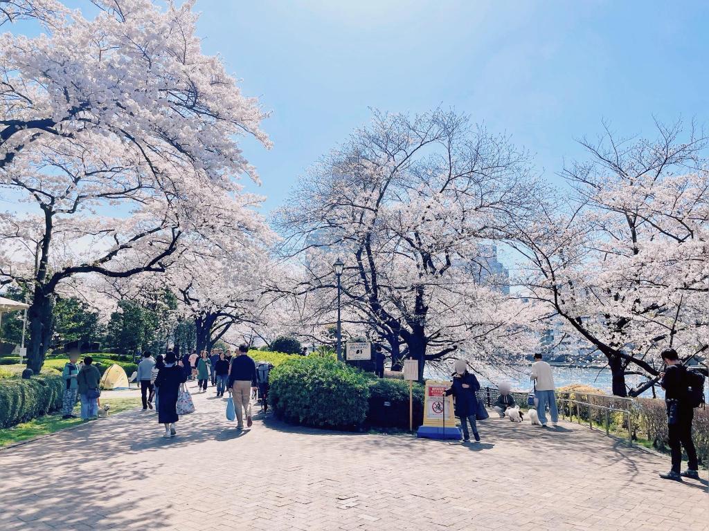  隅田川陽臺的“推薦”賞花景點