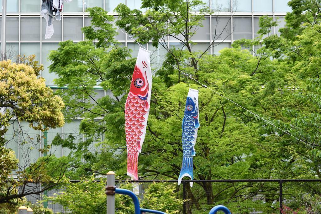  KOINOBORI swim in the sky of May