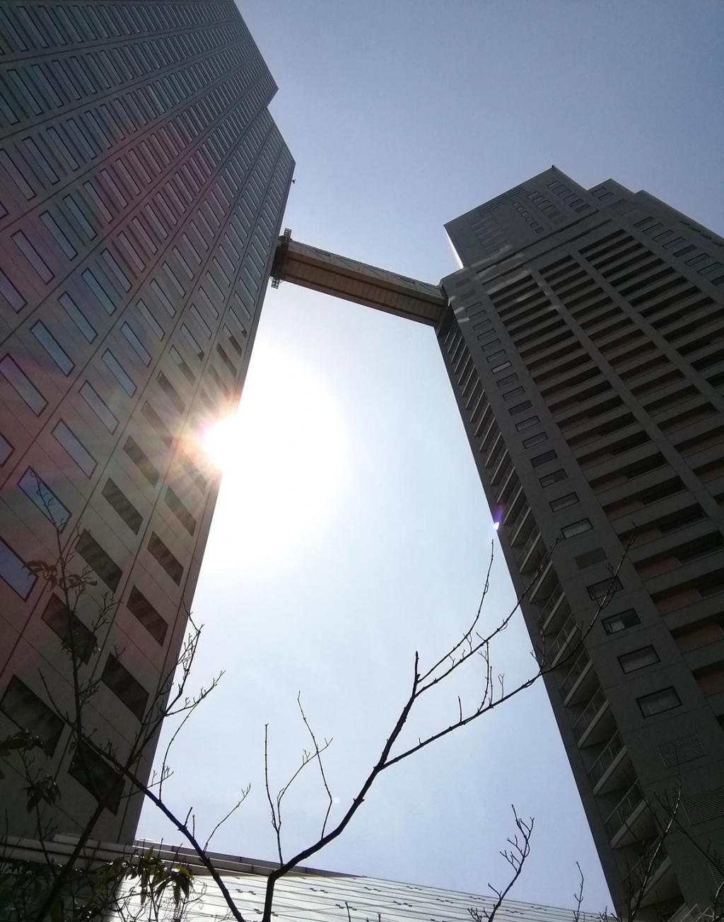  Looking up at high-rise building
　-仰望高層建築-1
　　～聖路加聖盧克斯塔・聖路加住宅～