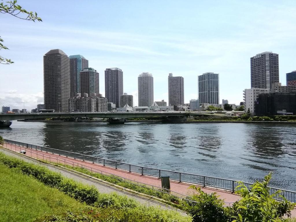  Looking up at high-rise building
　-仰望高層建築-1
　　～聖路加聖盧克斯塔・聖路加住宅～