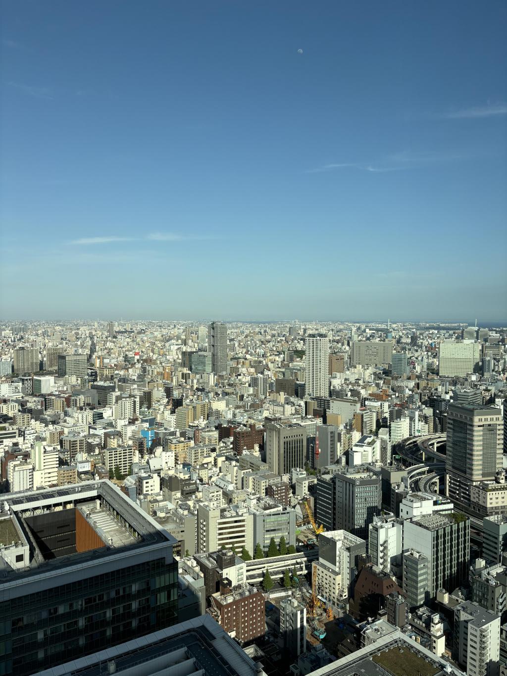  東京曼達林東方飯店喝茶