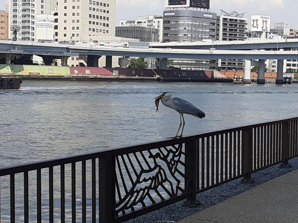  高度相同