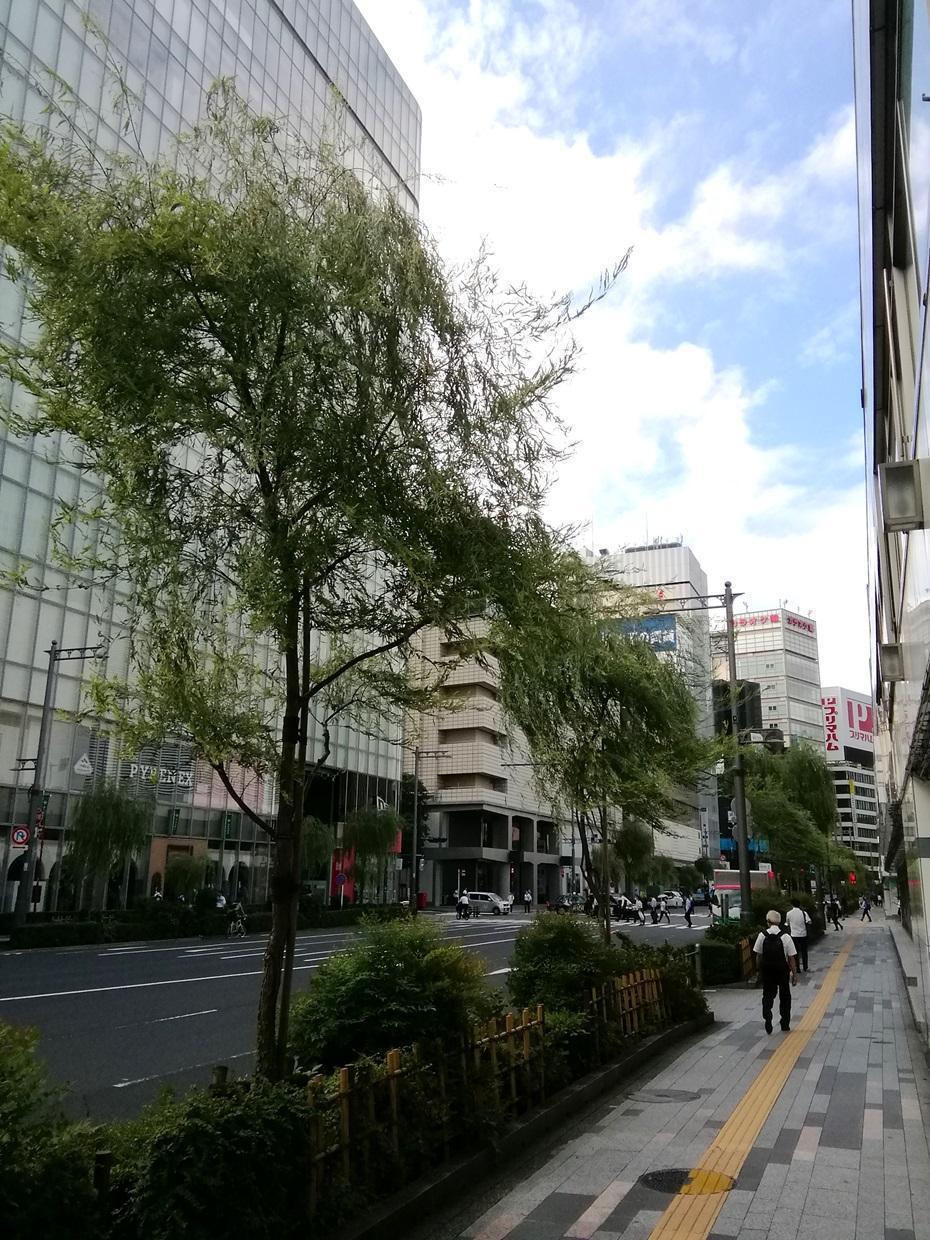 西銀座大街的柳鴿、柳、年輕的鐘樓
　　～數寄屋橋公園～