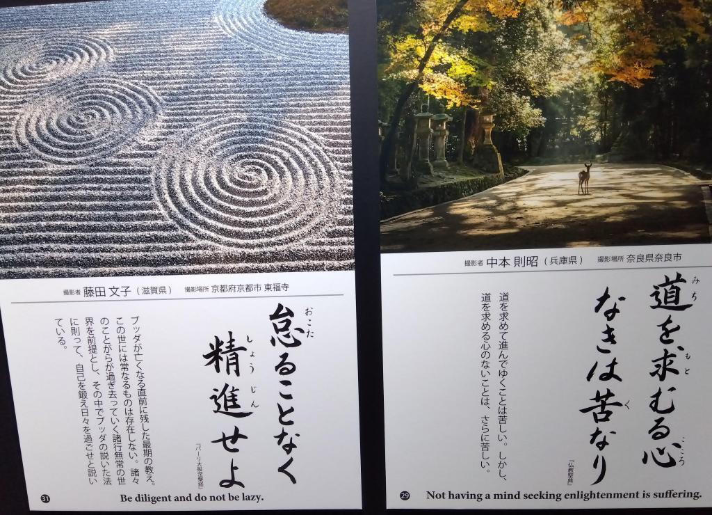 人生中漫長的人生訓用照片來說教(刊登到10月末為止)築地本願寺攝影測試11/7正在舉辦中