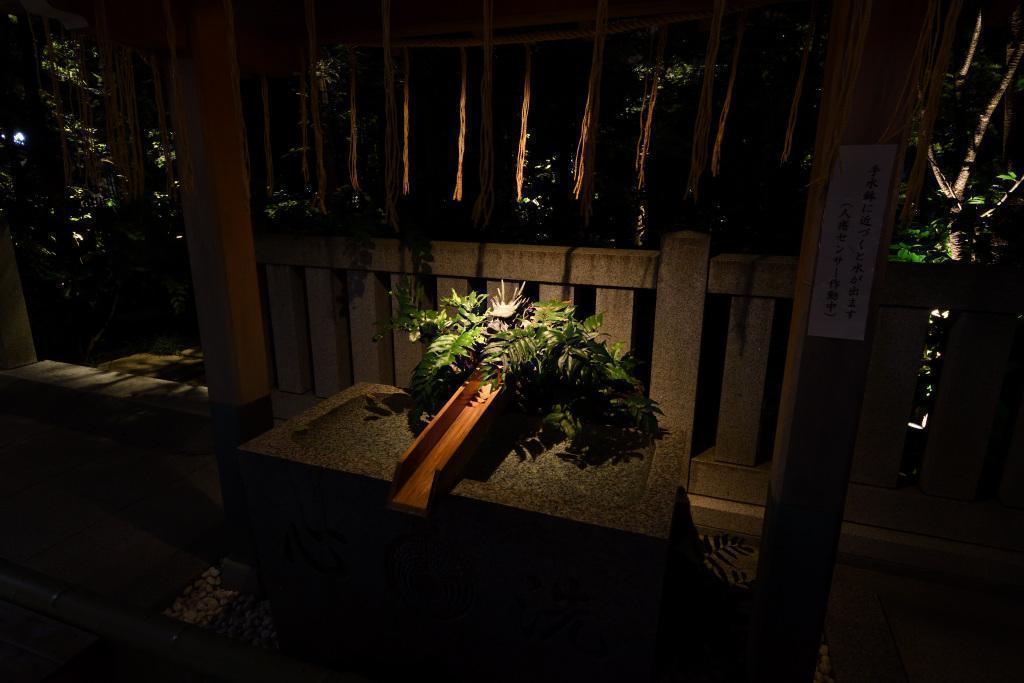  The Beautiful Nightscape of Nihonbashi