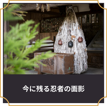  東京的忍者活動12月7日(週六)三重陽臺“忍者・忍術學講座in Tokyo”
11月23日(星期六)上野集合「忍者百人眾」三重大學山田雄司教授演講