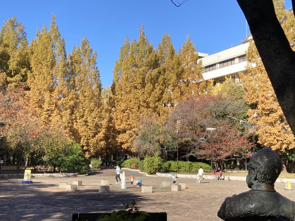 在拂曉公園的金屬杉並區觀賞紅葉的5個景點