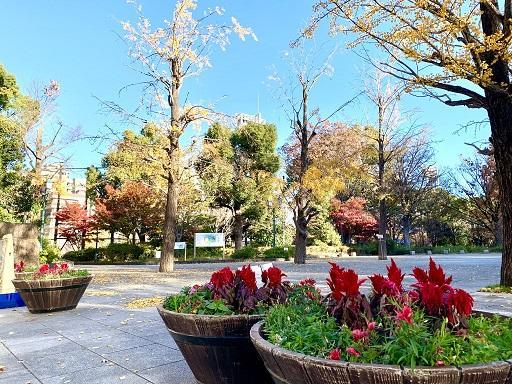  從晚秋到冬天的濱町公園