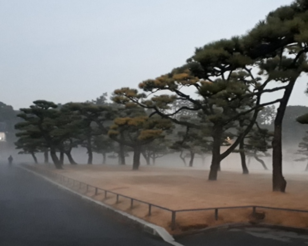 如果桃太郎的舞台是中央區的話......卷