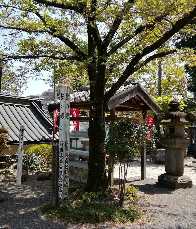  蔦重榮華乃夢說唱～異聞22
　　～土山宗次郎～