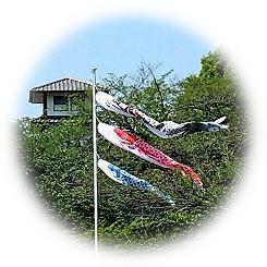  2025五月在風景線熏風中飛舞的鯉魚旗