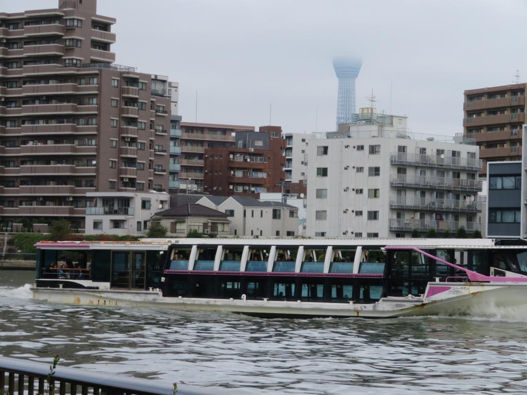  2019年秋的回憶......在清洲橋