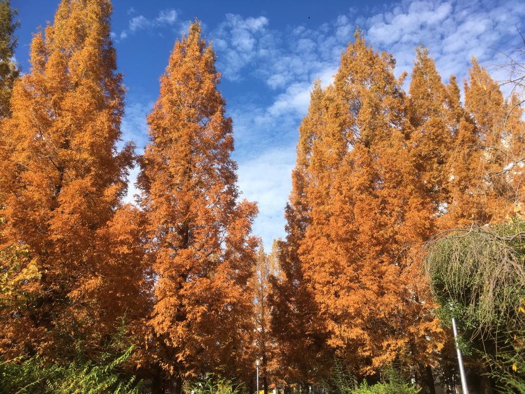  走在築地川遺址上!
