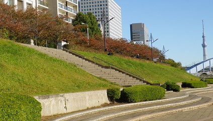  秋天的新川公園