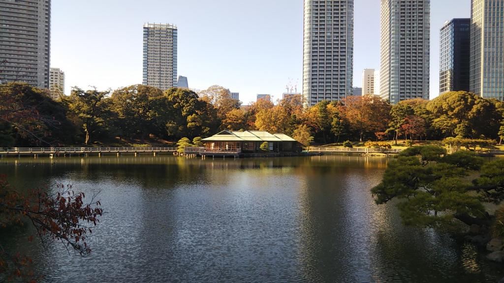 到濱離宮紅葉觀賞為止,現在都立庭園紅葉巡遊蓋章比賽去濱離宮