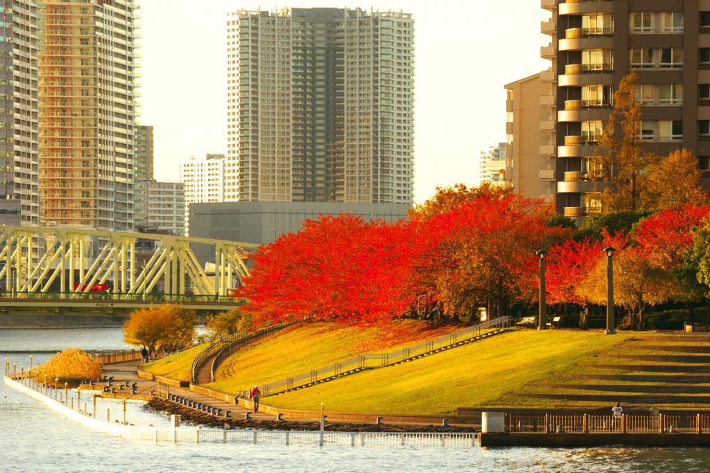 石川島公園附近隅田川陽臺的秋季遺跡