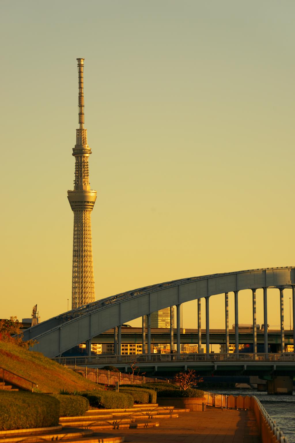  隅田川陽臺的秋季遺跡